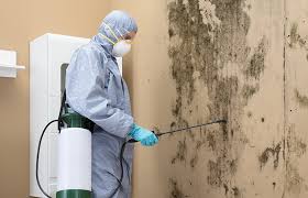 Best Air Quality Testing for Mold Spores  in , NJ